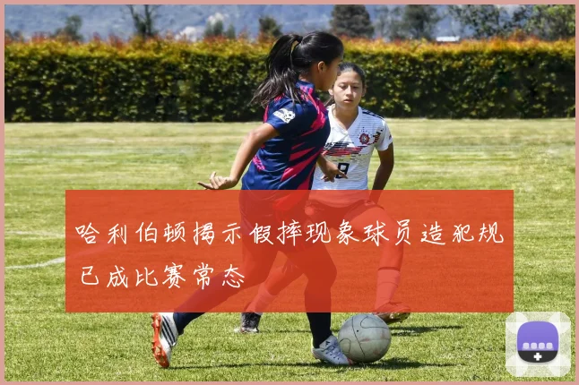 哈利伯顿揭示假摔现象球员造犯规已成比赛常态